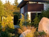 Modern-Shed Dwelling Shed
