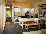 Modern-Shed Dwelling Shed